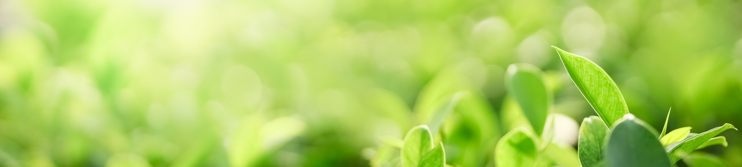 Main Street Naturopathic Clinic, Moose Jaw (photo from the clinic's website)